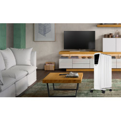 BASTILIPO FENIX 2-2000, Radiador de fluido, efecto chimenea